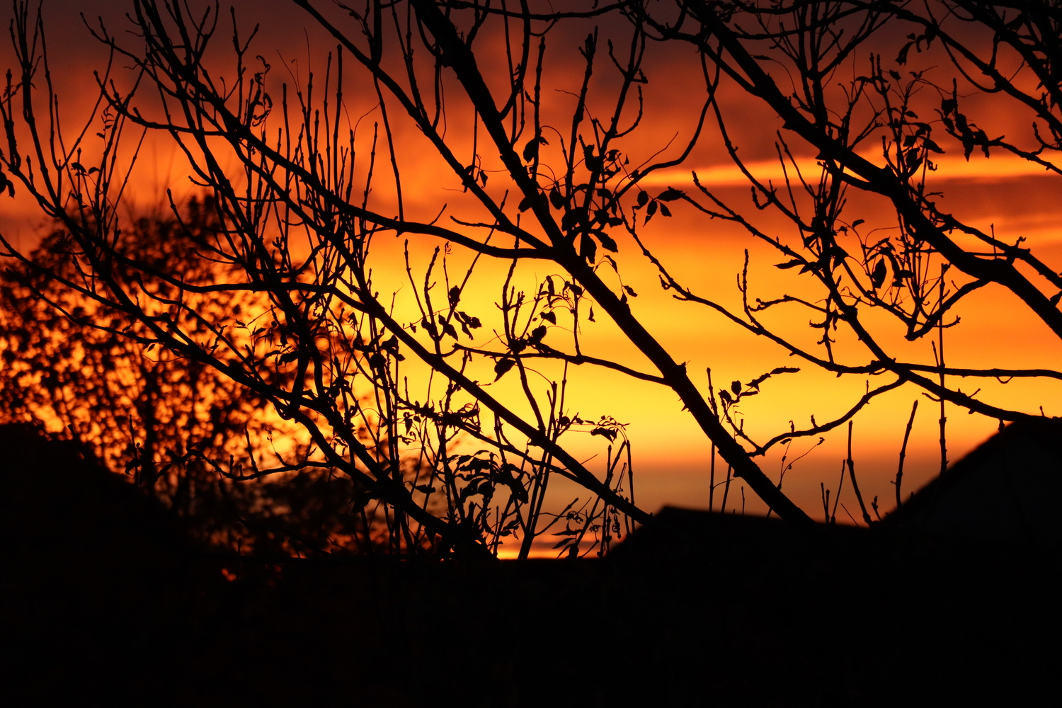 A picture of the fiery sunset I took from my house.