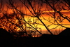 A fiery-looking sky at sunset