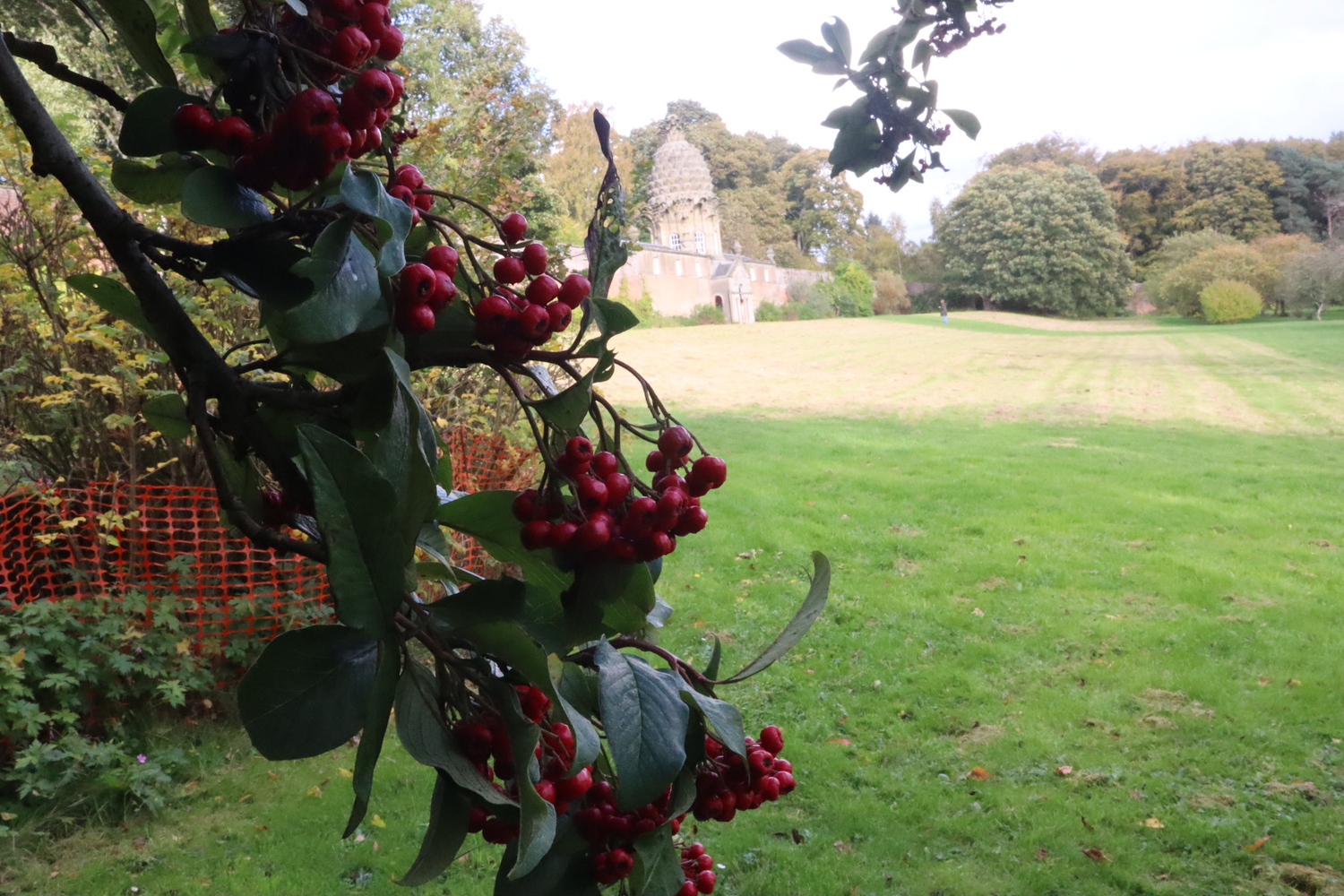 Taken in the gardens of The Pineapple, a building with a pineapple design at its top, with some berries in the foreground.